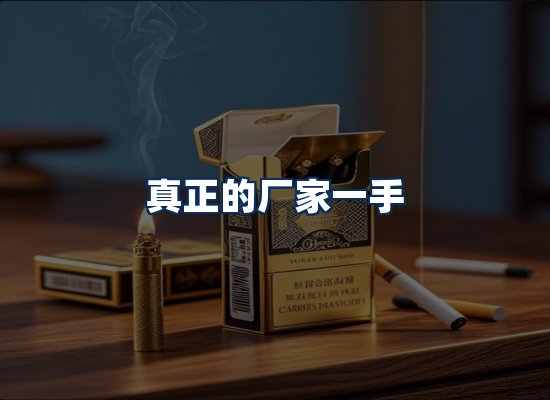 专业团队办公环境